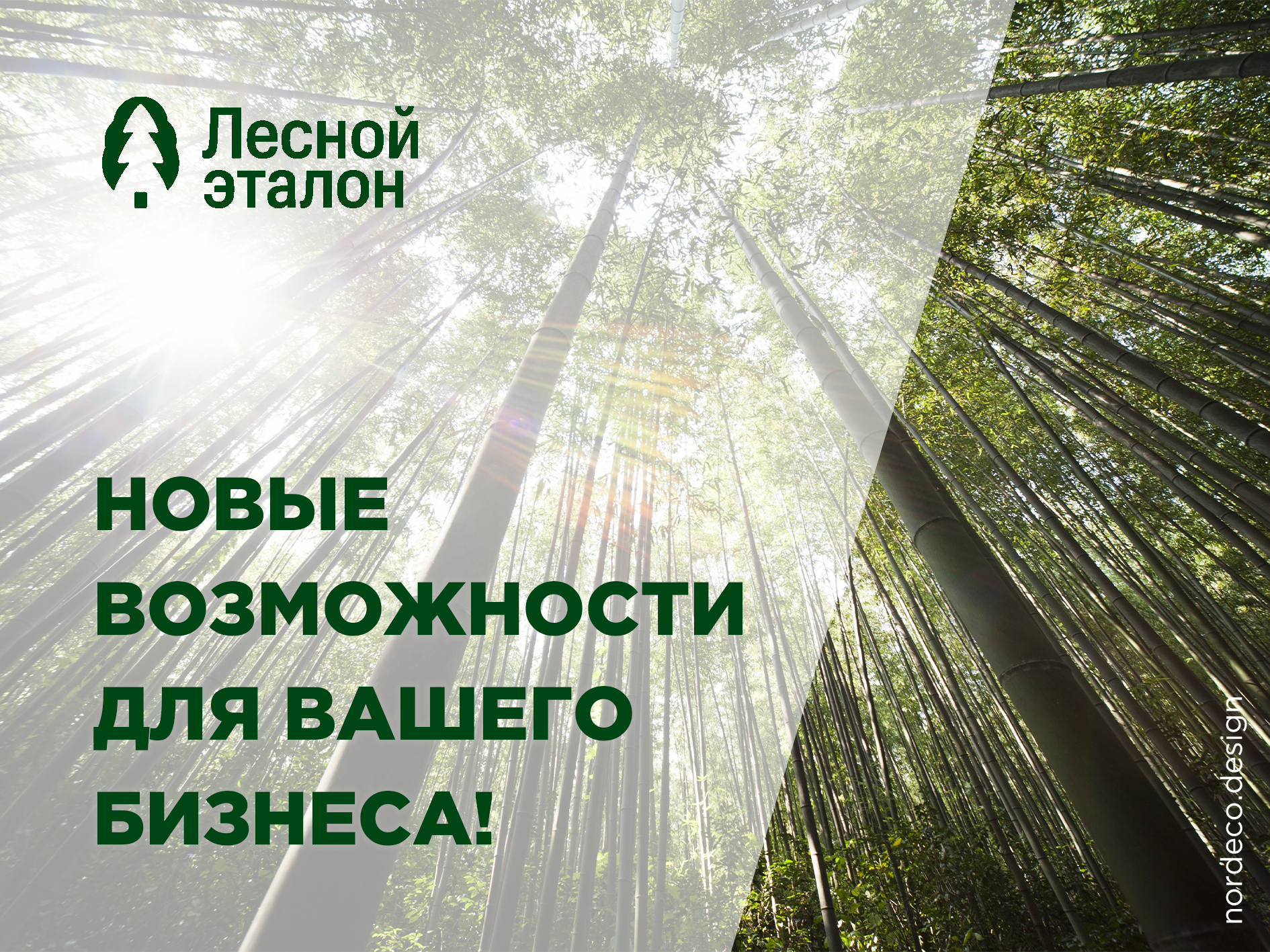 "Лесной эталон": госзакупки, тендеры и DIY!