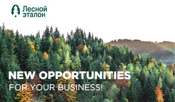 TIMBER STANDARD: PUBLIC PROCUREMENTS, TENDERS AND DIY!