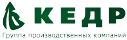 Кедр